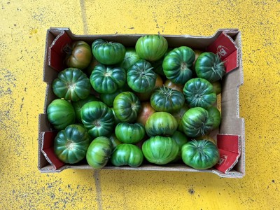 Foto Pomodoro Costoluto Origine Spagna Marchio Naturalmente	 3
